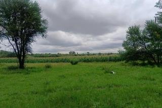Commercial Property for Sale in Koppies Rural Free State